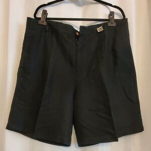 Men's Breakwater Pleated Dress Shorts